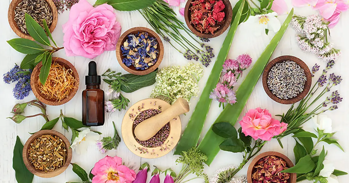 best bach flower therapy